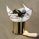 Gold pot with a plant wrapped in white paper against a beige background