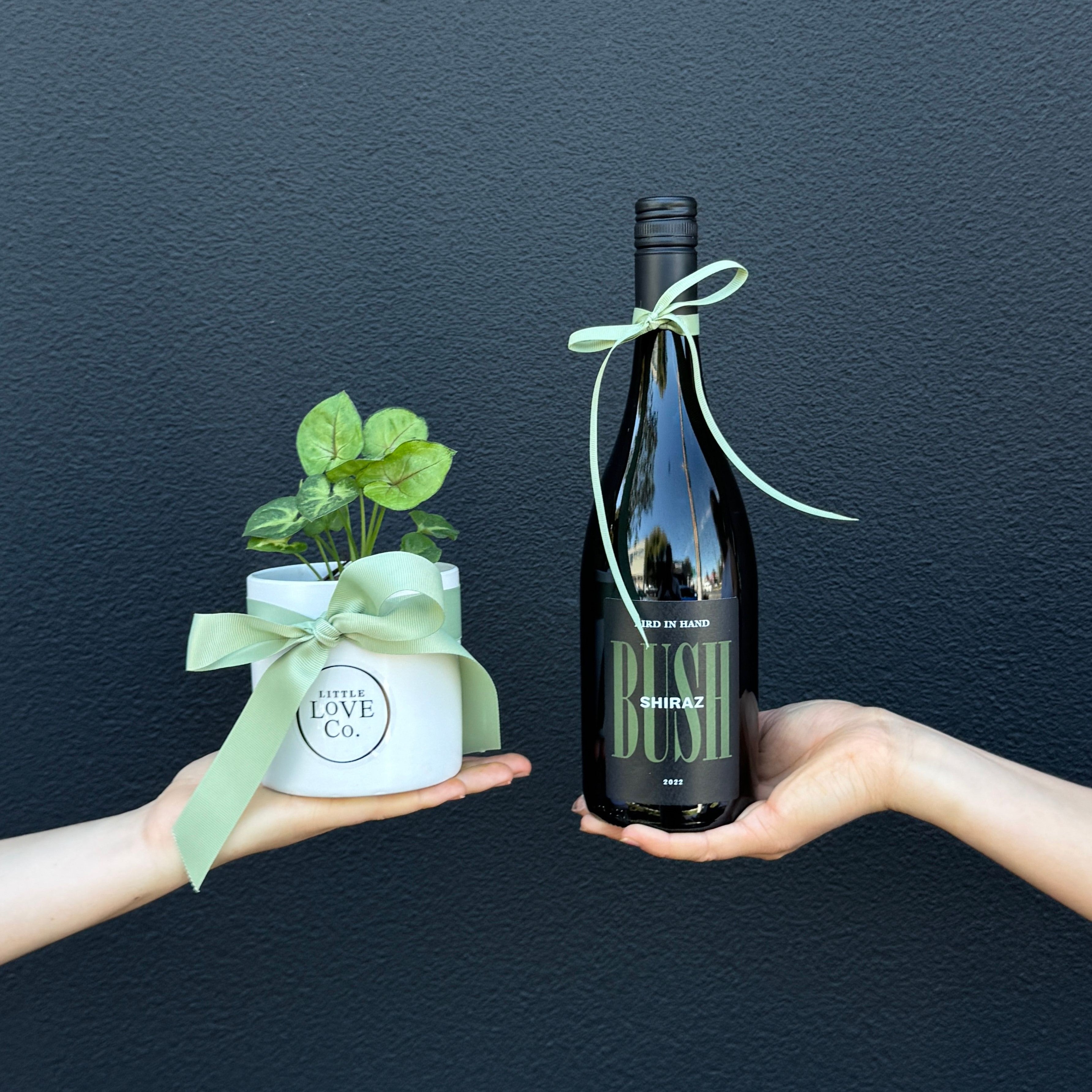Two hands holding a bottle of wine and a potted plant, both wrapped in ribbon with a matching color scheme.