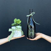 Two hands holding a bottle of wine and a potted plant, both wrapped in ribbon with a matching color scheme.
