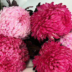 Mother's Day Mums Bunch