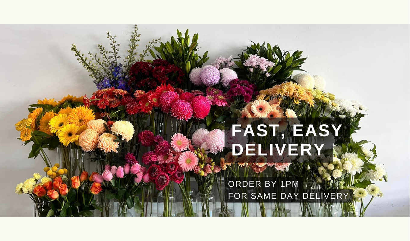 Same Day Flower Delivery Little Love