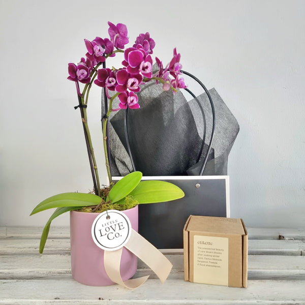 The Cherished | Gift Bag