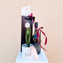 A gift set including a bottle of Bird in Hand Bush Shiraz wine and a potted house plant, packaged in a black gift bag with a pink ribbon.
