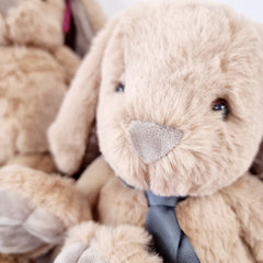 Plush Rabbit