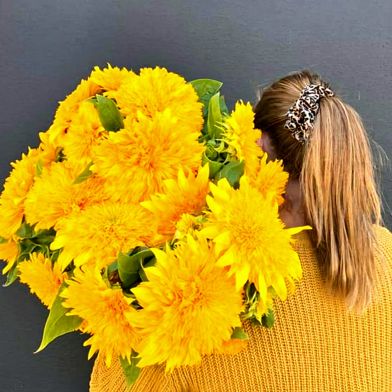 Sunflowers | Market Bunch