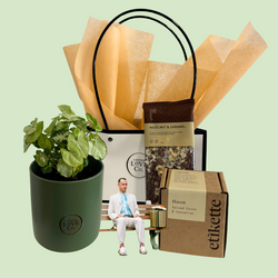 Gift set with potted plant, snacks, and a small figure on a light green background