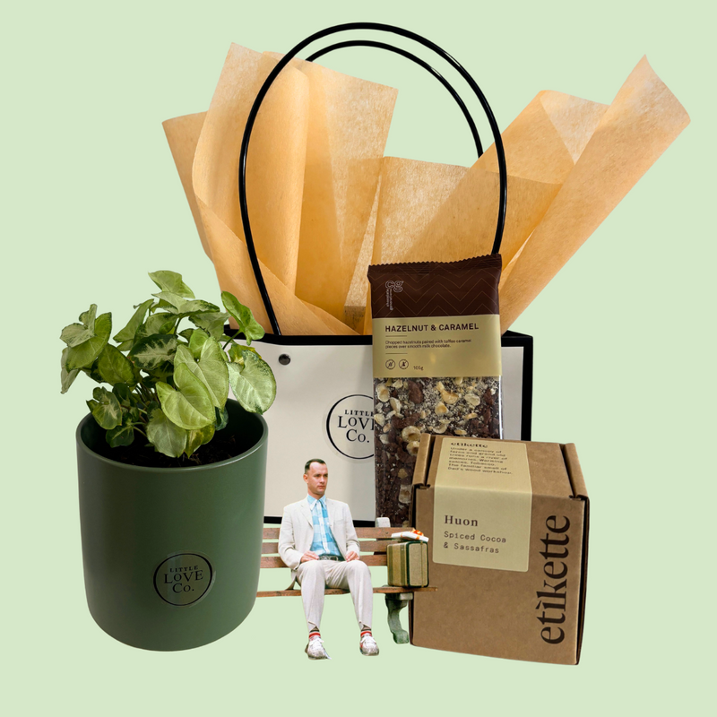 Gift set with potted plant, snacks, and a small figure on a light green background