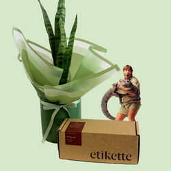 Bouquet of green plants with a cardboard box labeled 'etikette' on a light green background
