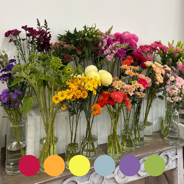 Surprise Me | Florist Choice Bouquet