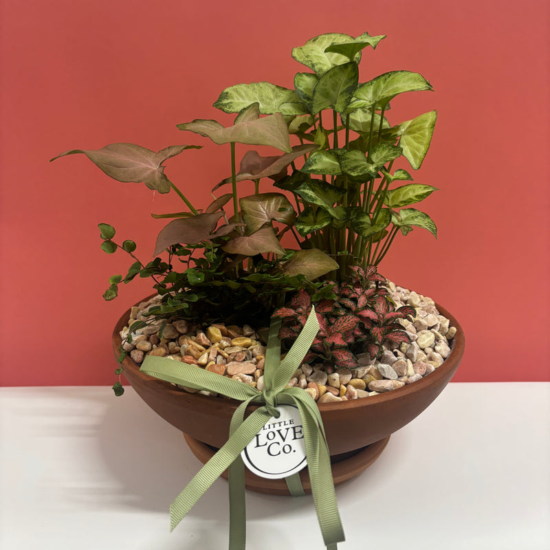 Lush Terrarium